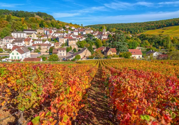 Weer Bourgogne