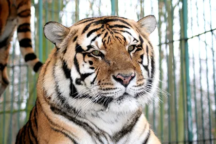 Safari Zoo op Mallorca