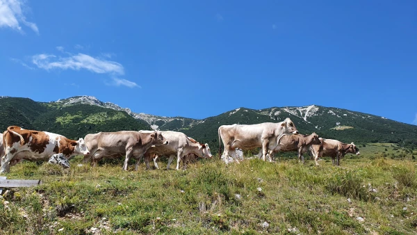Gardameer met kinderen
