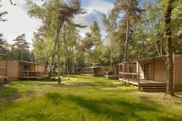  Meerdere vrijstaande houten lodges met veranda's gelegen op een open grasveld te midden van de bossen