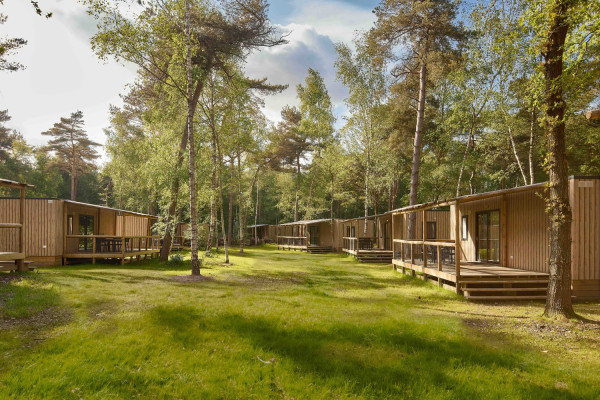  Meerdere vrijstaande houten lodges met veranda's gelegen op een open grasveld te midden van de bossen