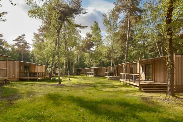  Meerdere vrijstaande houten lodges met veranda's gelegen op een open grasveld te midden van de bossen