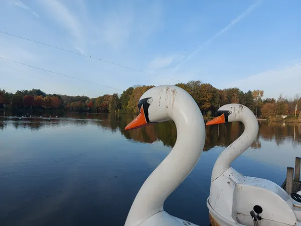 korting center parcs_vijver heijderbos