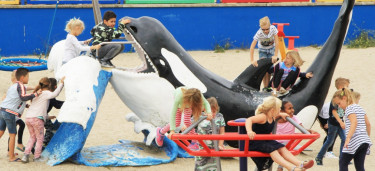 Een spetterende zomer vol plezier, educatie en dierenmagie
