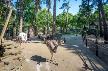 Camping Goolderheide