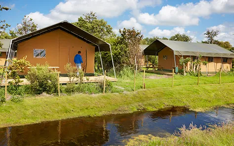 Glamping Noord-Holland & Glamping Waddeneilanden