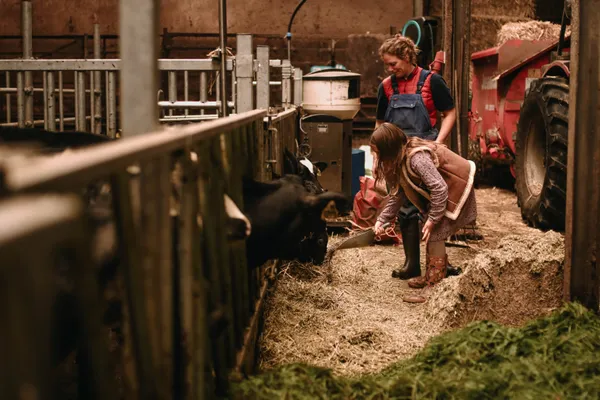 BoerenBed Hoeve de Pippert