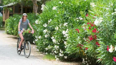 Camping Sunêlia Les Pins