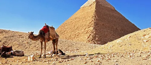 TUI vliegt nu ook vanaf Rotterdam naar Egypte
