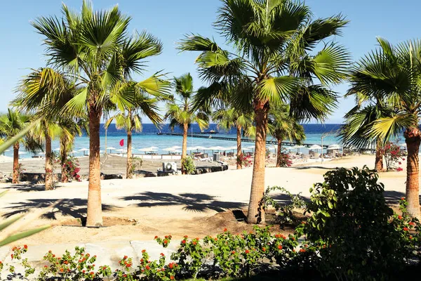 Hotel Three Corners Fayrouz Plaza Beach Resort