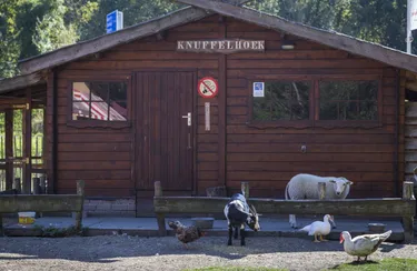 vakantiepark-marina-beach (6).jpg