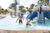 recently watched image