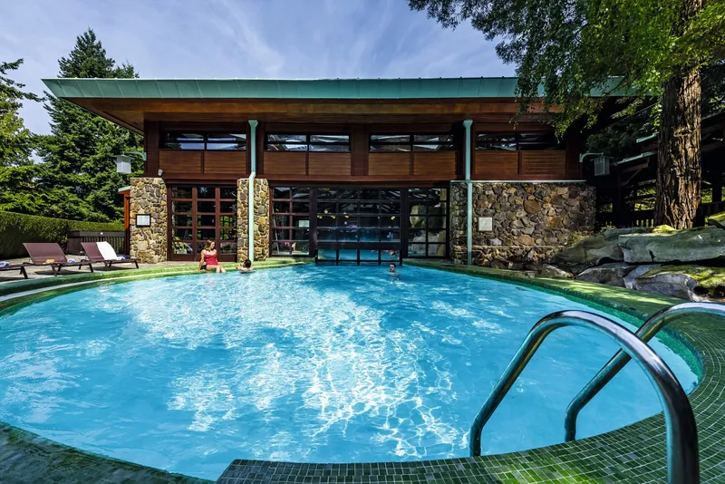 Disney's Sequoia Lodge