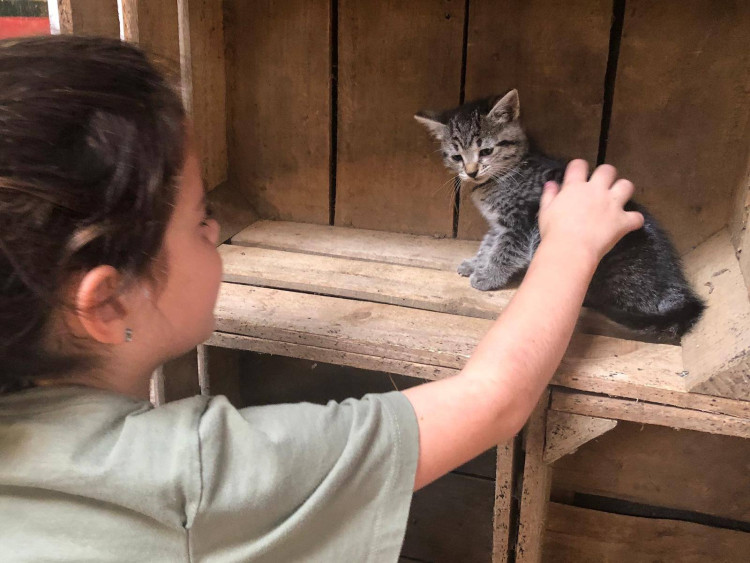BoerenBed De Brabantse Hei