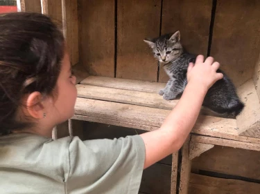 BoerenBed De Brabantse Hei