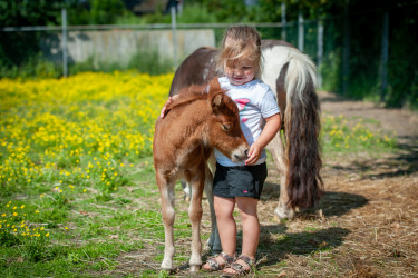 Hoofdafbeelding Lente.jpg