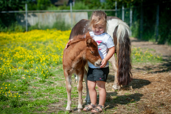 Hoofdafbeelding Lente.jpg