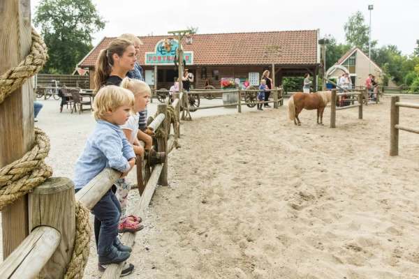 land-van-bartje (12).jpg