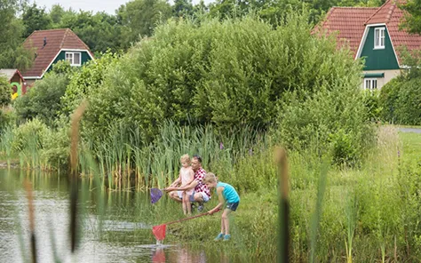 Vakantiepark met zwemvijver - Landal Hunerwold State