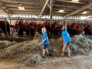 Boerenbed Frankrijk 2.jpg