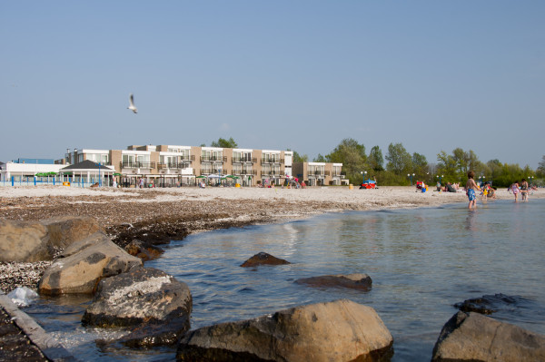 Hoofdafbeelding zomer.jpg