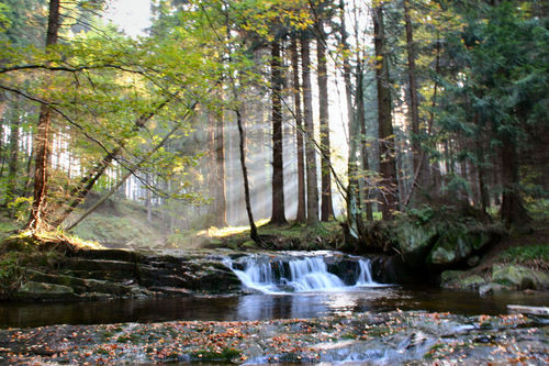 Familiehotel Panoramic in Duitsland - Th&uuml;ringen - Bad Lauterberg