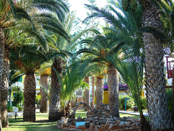 Hotel Stella Village