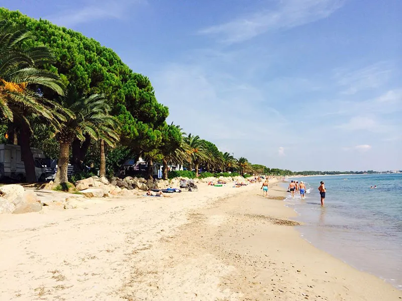 strand