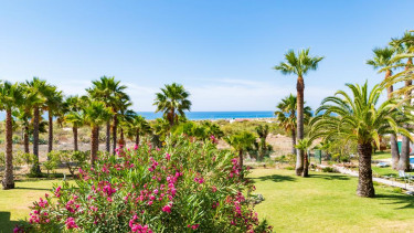 Appartementen Praia da Lato - tuin