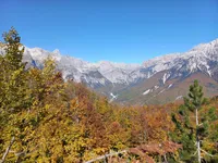 recently watched image