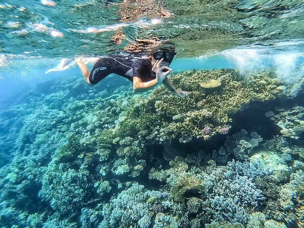 Snorkelen in Egypte 