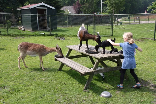 camping-de-bosrand (9).jpg