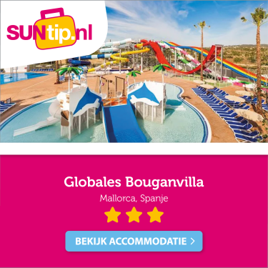 SUNtip TB jan26_overlayer 1 Globales Bouganvilla