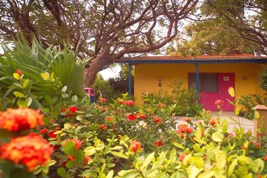 Divi Flamingo Beach Resort