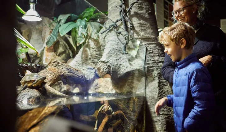 Kinderactiviteiten