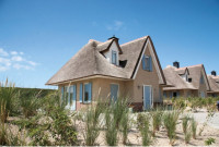 recently watched image