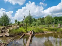 recently watched image