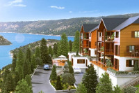 recently watched image