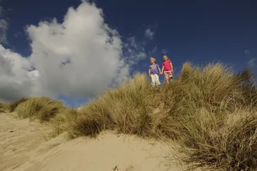 Camping Kustpark Strand Westende