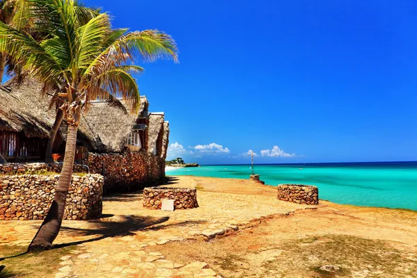 Palmboomparadijs