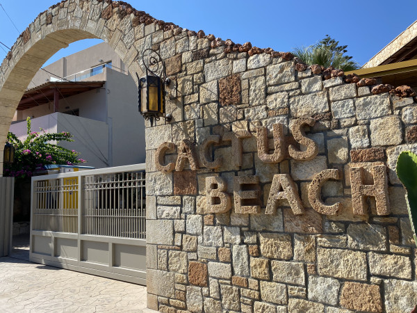 Cactus Beach