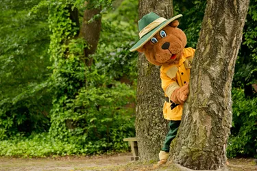 Bollo Landal GreenParks (1).jpg