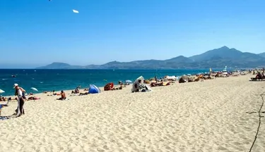 Sunêlia l'Hippocampe