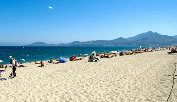 Sunêlia l'Hippocampe