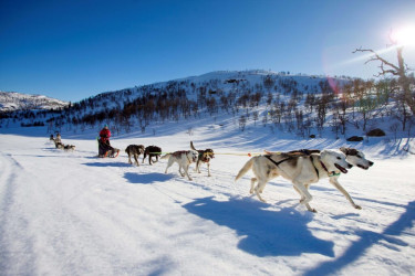 Wintersport in Scandinavië met kinderen