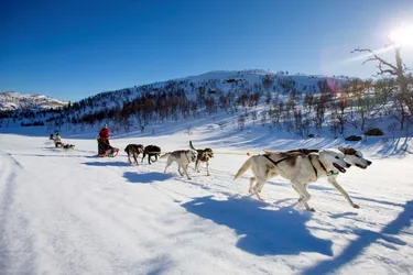 Wintersport in Scandinavië met kinderen