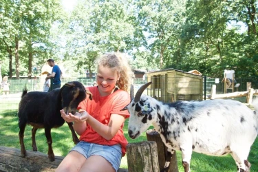 Vakantiepark Heihaas