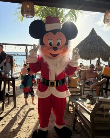 Kerst mickey