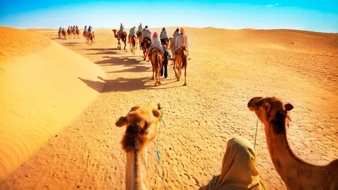 Bedouin Desert Safari