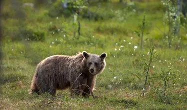 14-Daagse rondreis Nore